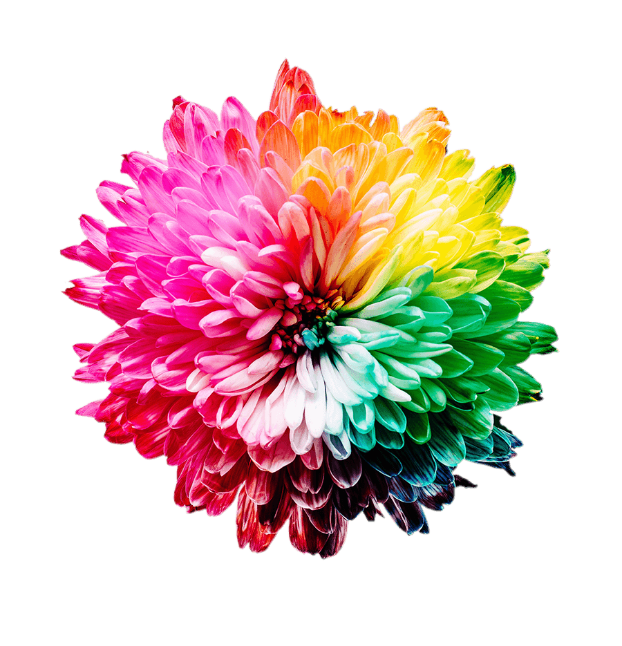 Full spectrum flower